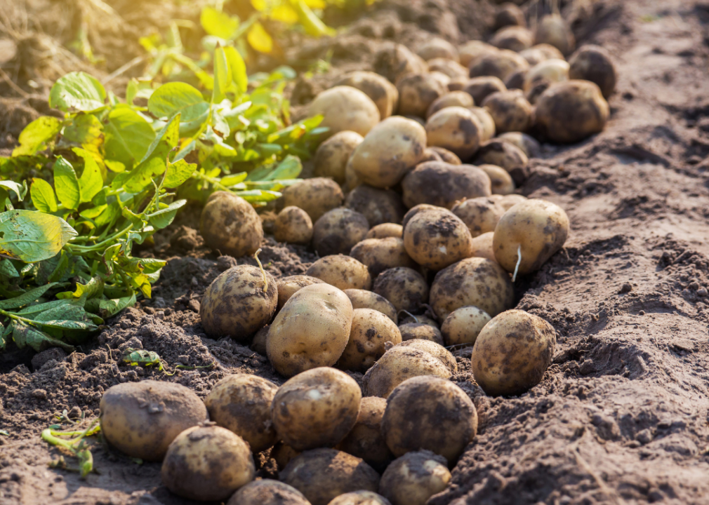 #5 (lowest): Potatoes